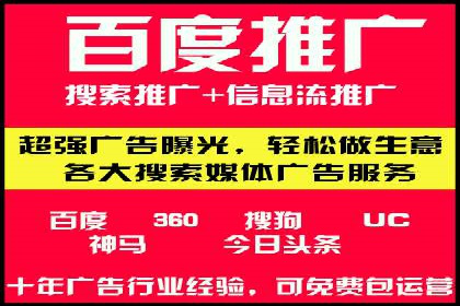 SEO技术突破：某网站流量暴增的背后故事